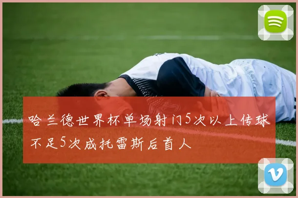 哈兰德世界杯单场射门5次以上传球不足5次成托雷斯后首人
