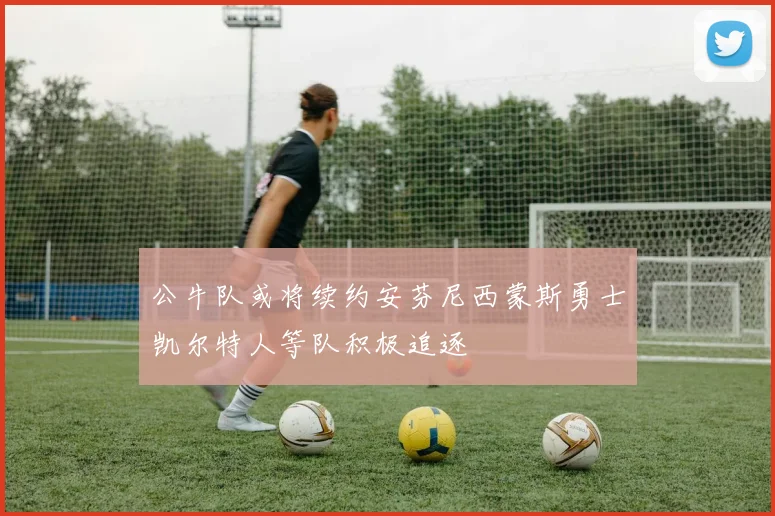 公牛队或将续约安芬尼西蒙斯勇士凯尔特人等队积极追逐